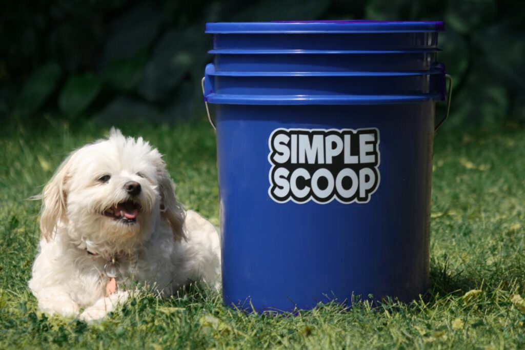Small white dog named Nyla, happy and laying in grass with a blue bucket that has the Simple Scoop logo on the side.