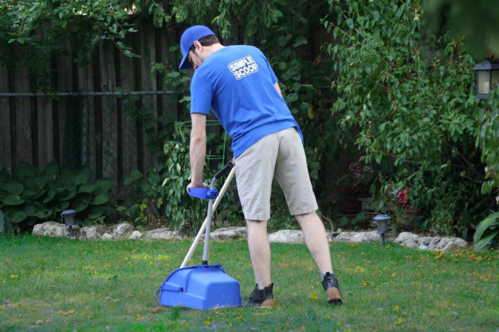 Pooper scooper service person, scooping a residential backyard. The backyard has lush green grass and foliage.